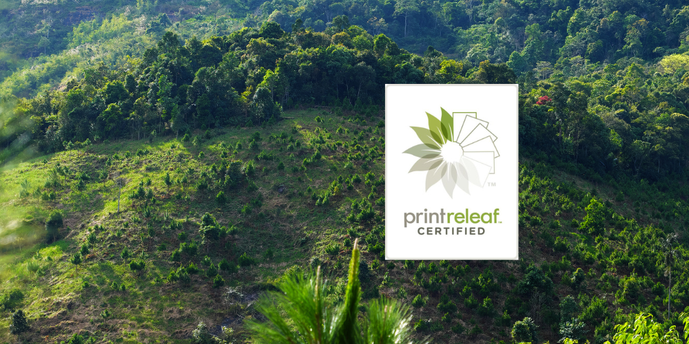 riforestazione zerozerotoner - JTP Informatica